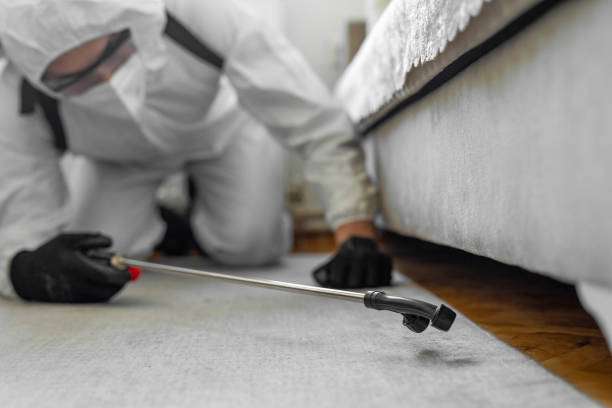 Professional Mosquito Control technician working in Wrangell, AK