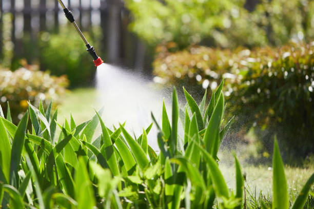 24/7 Emergency Mosquito Control experts in Wrangell, AK