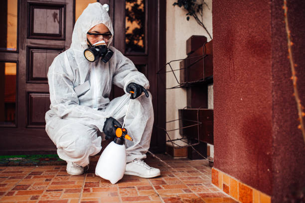 Reliable Mosquito Control contractor in Wrangell, AK by Nex Pest Control