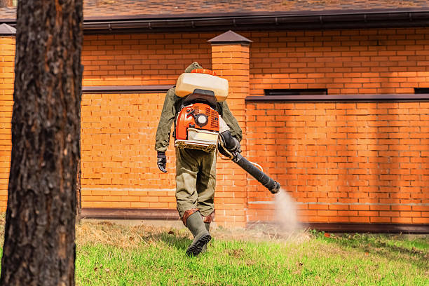 Top rated local Mosquito Control specialists in Wrangell, AK
